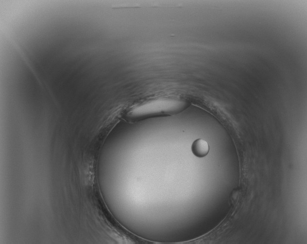 X0000060260017200511041401