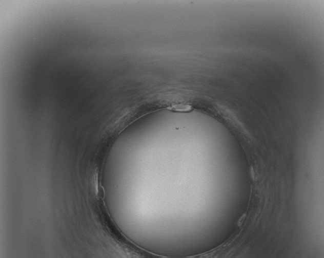 X0000060260021200511041401