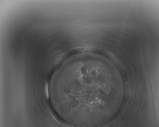 X0000060260022200511041401