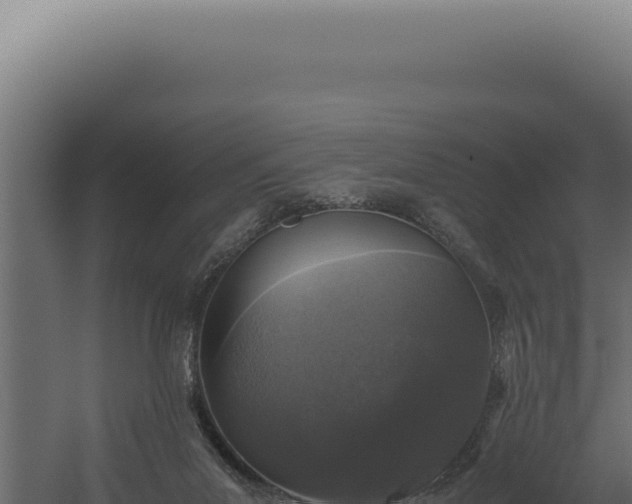 X0000060260023200511041401