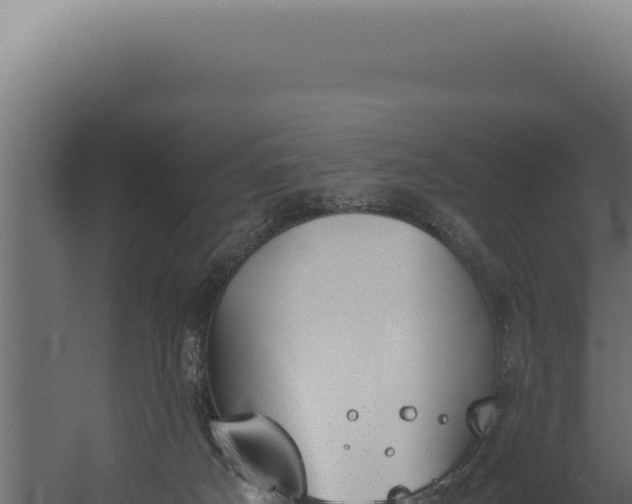 X0000060260025200511041401