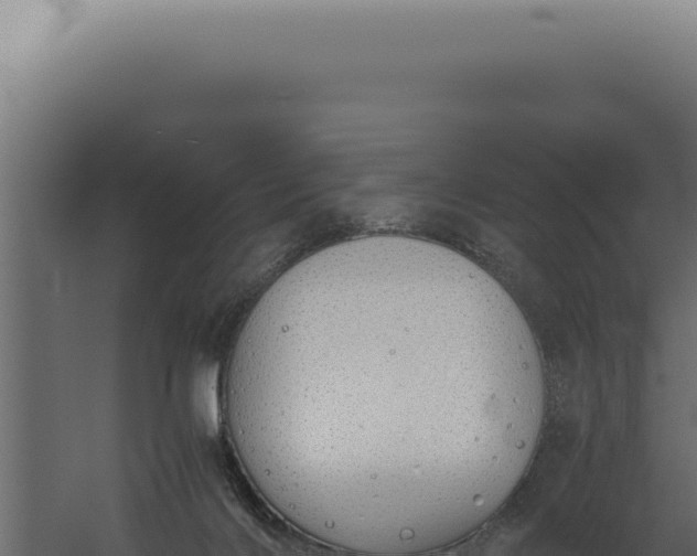 X0000060260028200511041401