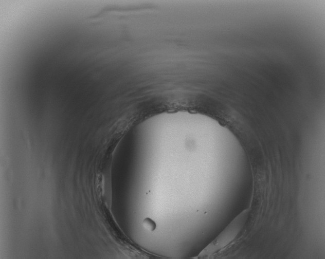 X0000060260029200511041401