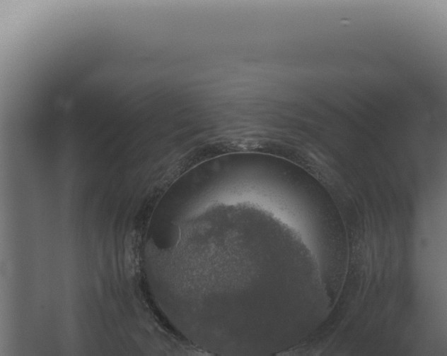 X0000060260030200511041401