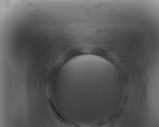 X0000060260031200511041401