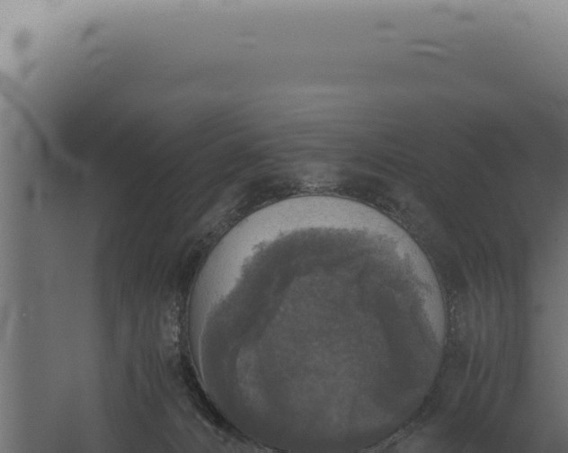 X0000060260032200511041401