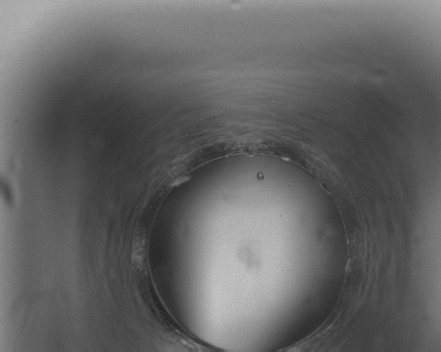 X0000060260033200511041401