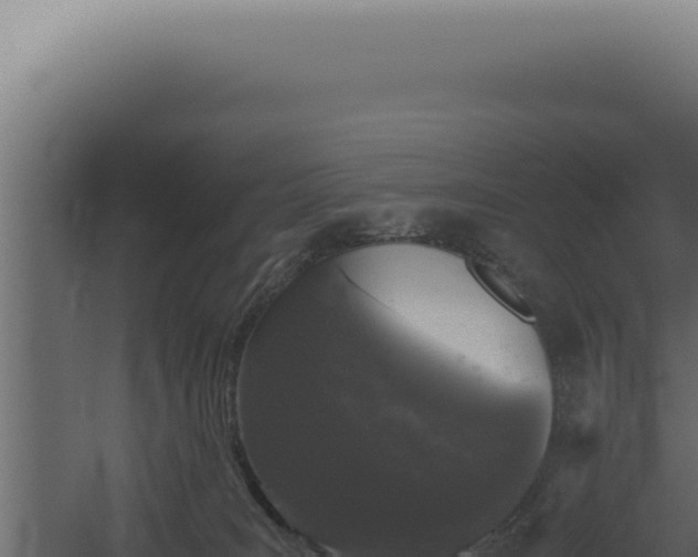 X0000060260035200511041401