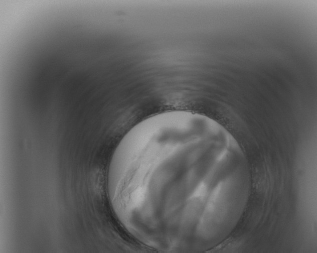 X0000060260036200511041401