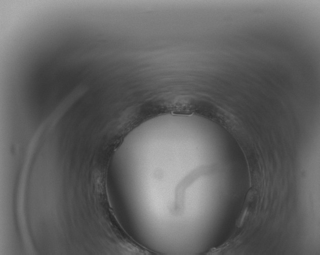 X0000060260037200511041401