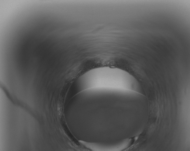 X0000060260039200511041401