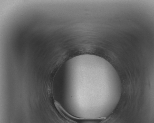 X0000060260040200511041401