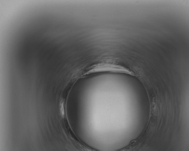 X0000060260042200511041401