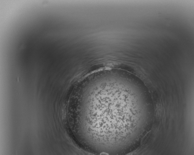 X0000060260043200511041401