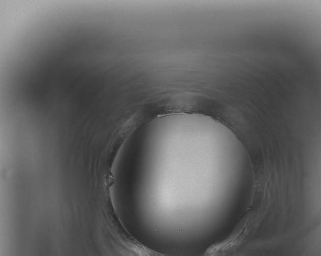 X0000060260045200511041401