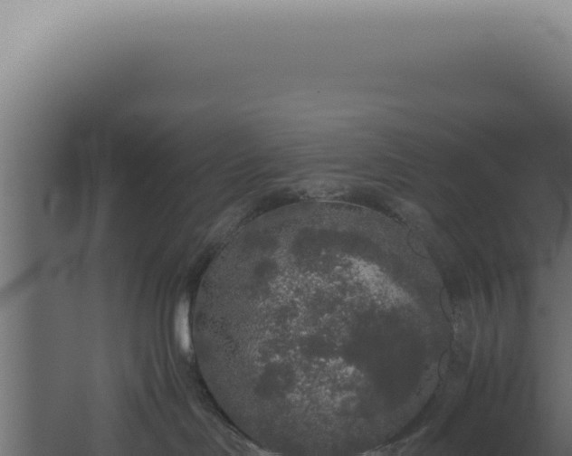 X0000060260046200511041401