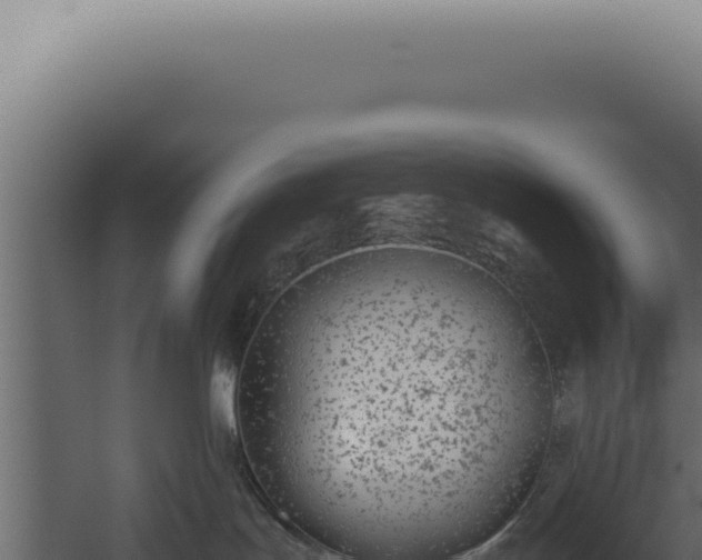 X0000060260047200511041401