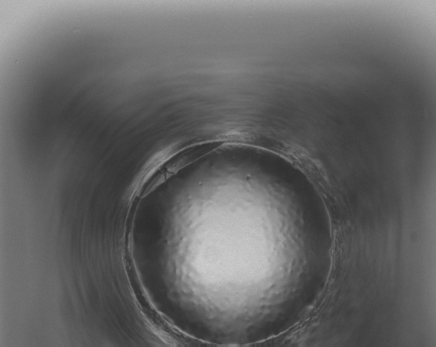 X0000060260051200511041400