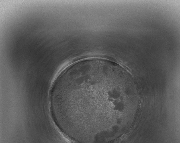 X0000060260053200511041400