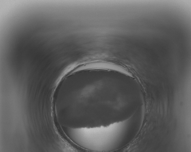 X0000060260054200511041400