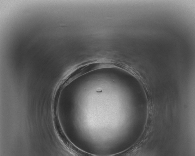 X0000060260055200511041400