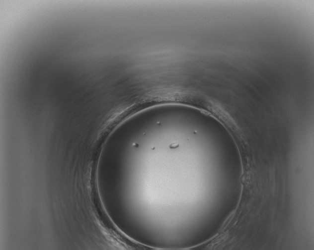 X0000060260058200511041400