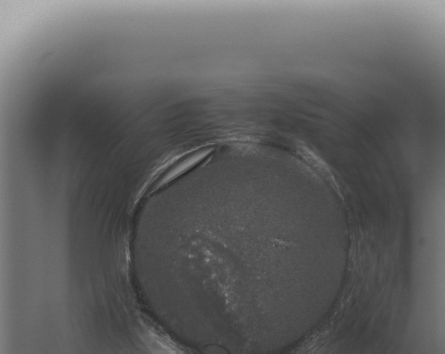 X0000060260059200511041400