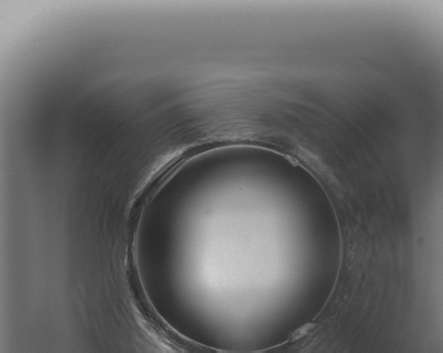 X0000060260060200511041400