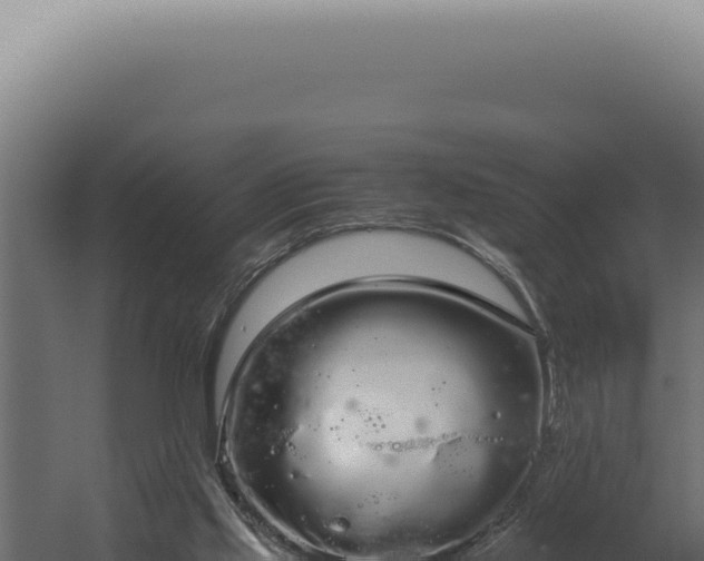 X0000060260061200511041400