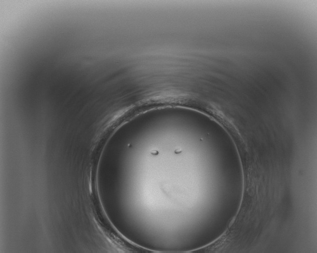 X0000060260062200511041400