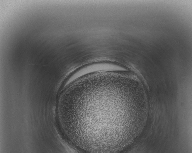 X0000060260063200511041400