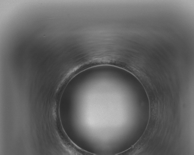 X0000060260064200511041400