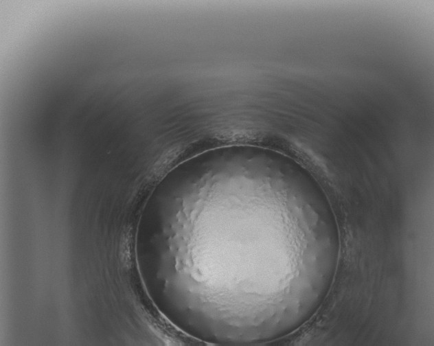 X0000060260065200511041400