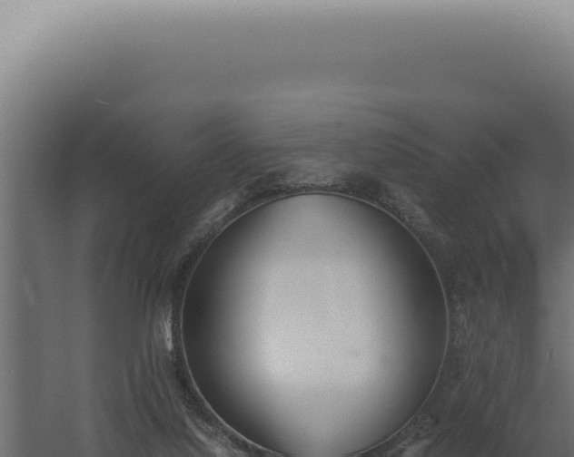 X0000060260068200511041400