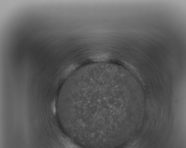 X0000060260069200511041400