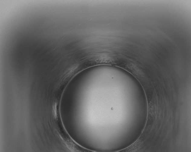 X0000060260070200511041400