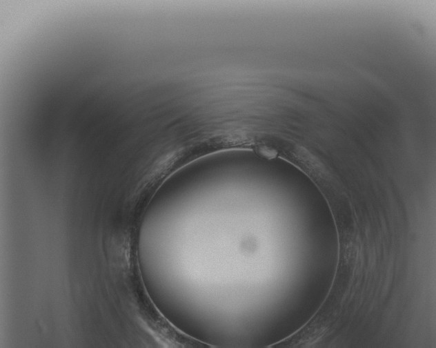 X0000060260072200511041400