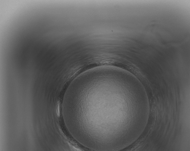 X0000060260076200511041400