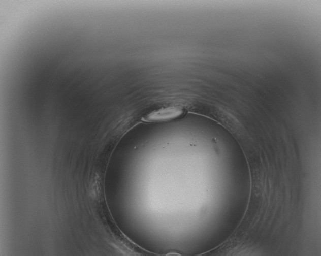 X0000060260077200511041400