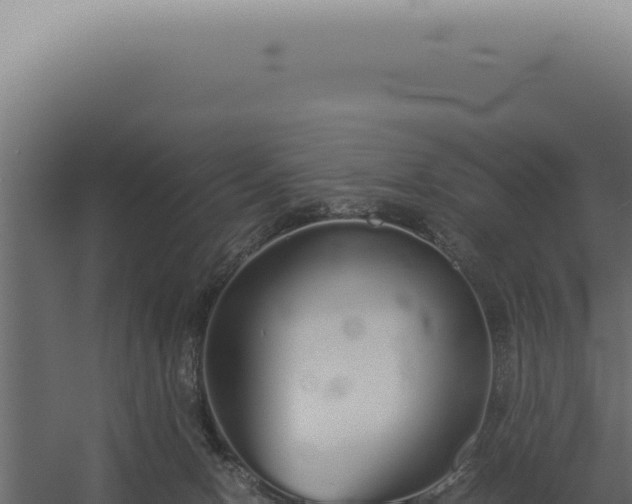 X0000060260078200511041400