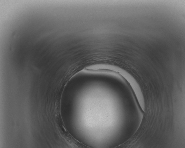 X0000060260079200511041400