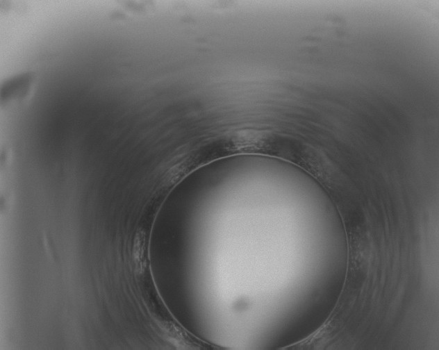 X0000060260082200511041400