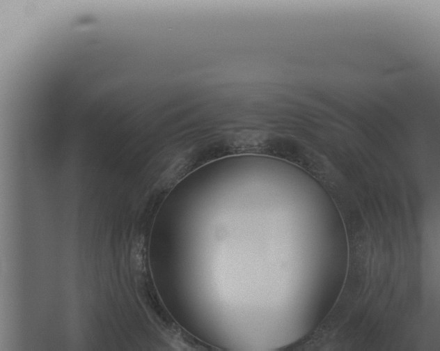 X0000060260083200511041400