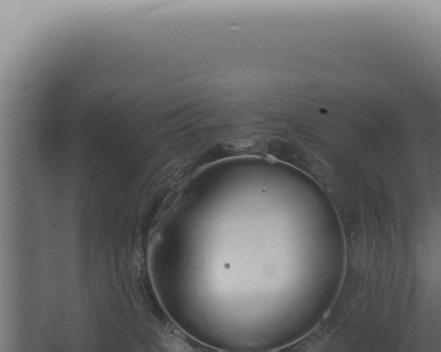 X0000060260085200511041400