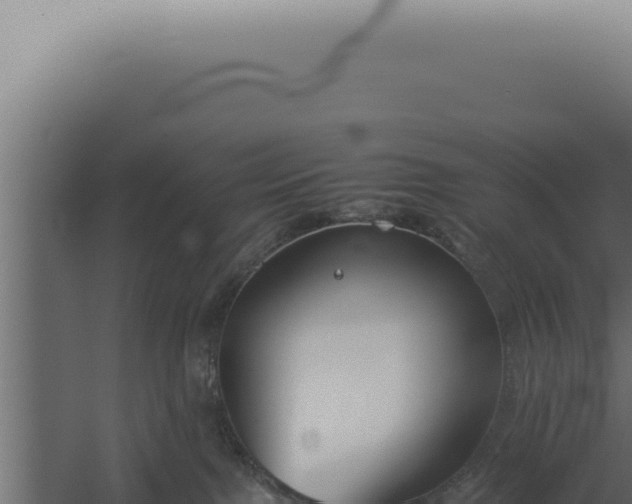 X0000060260091200511041400