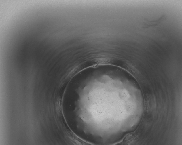 X0000060260093200511041401