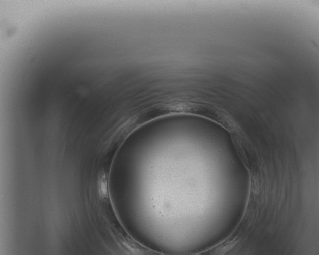 X0000060260095200511041401