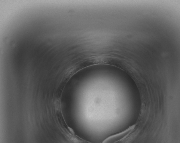 X0000060260096200511041401