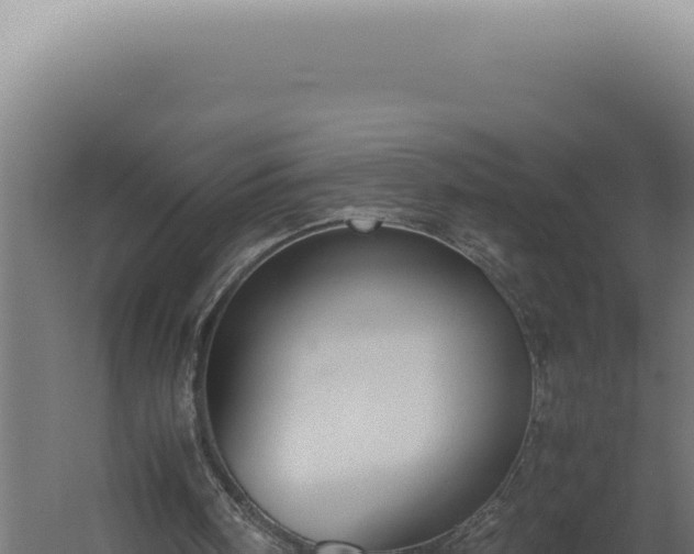 X0000060260098200511041400