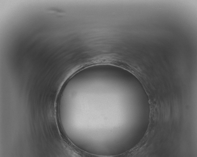 X0000060260100200511041400